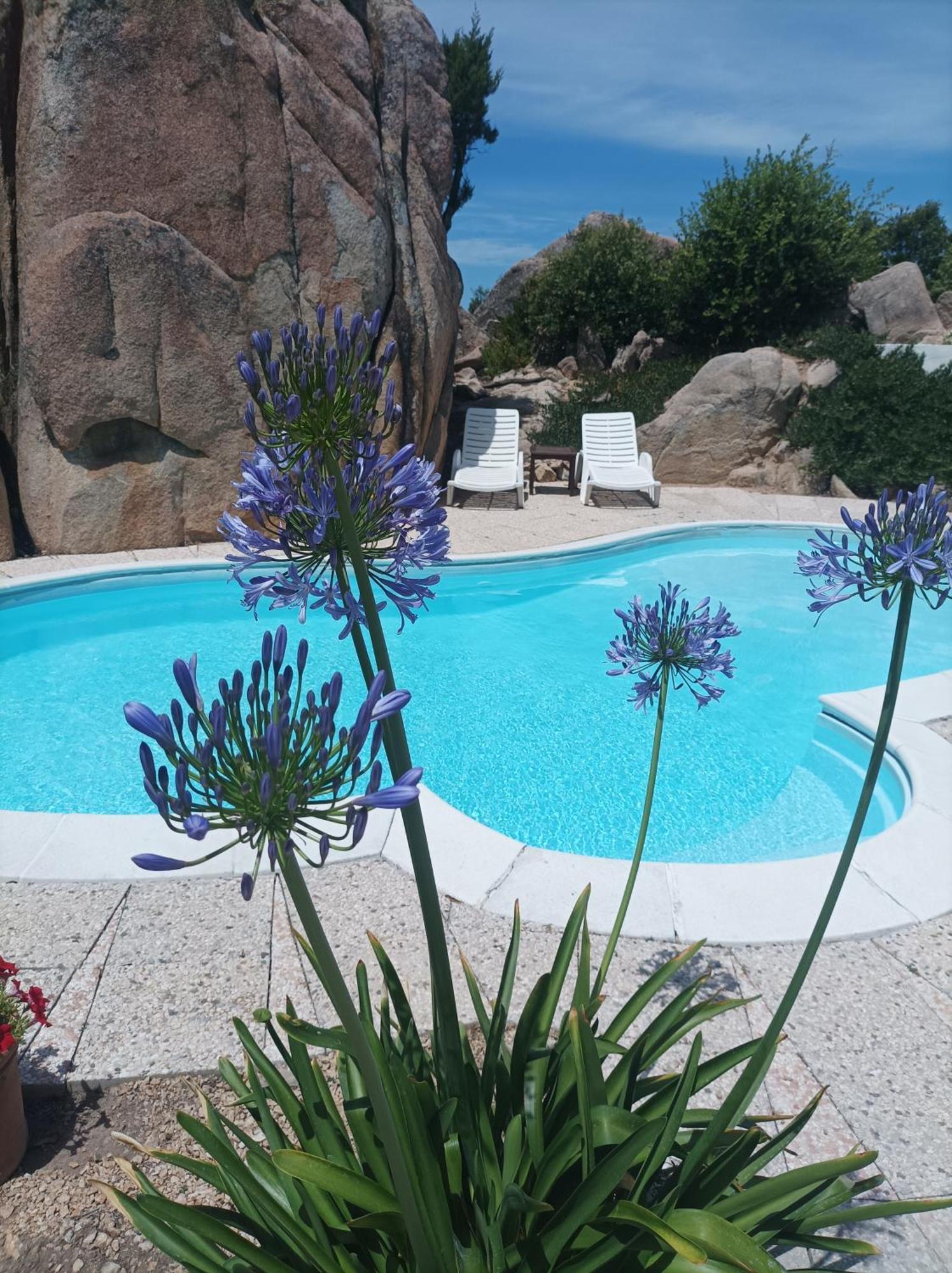 Villa Majore Beb Con Piscina Privata Рена-Майоре Екстер'єр фото